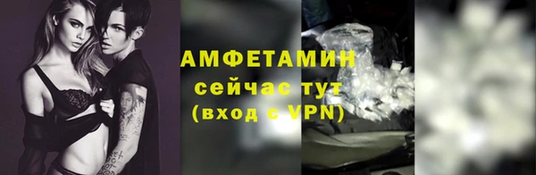 сатива Козельск