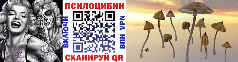 Галлюциногенные грибы MAGIC MUSHROOMS  Купить  Чёрмоз 